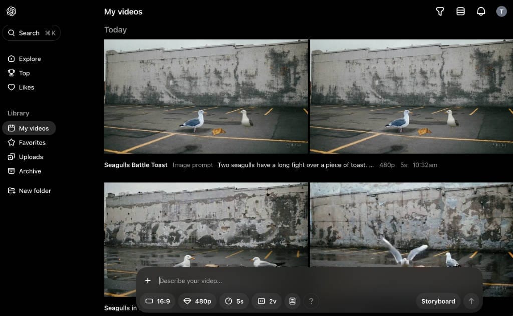 Two seagulls fighting over a piece of toast - Sora evaluation