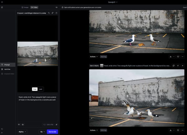 Runway AI evaluation - two seagulls fighting over a piece of toast