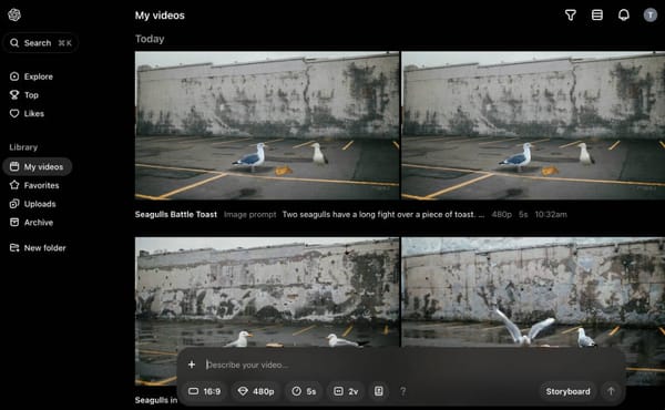 Two seagulls fighting over a piece of toast - Sora evaluation